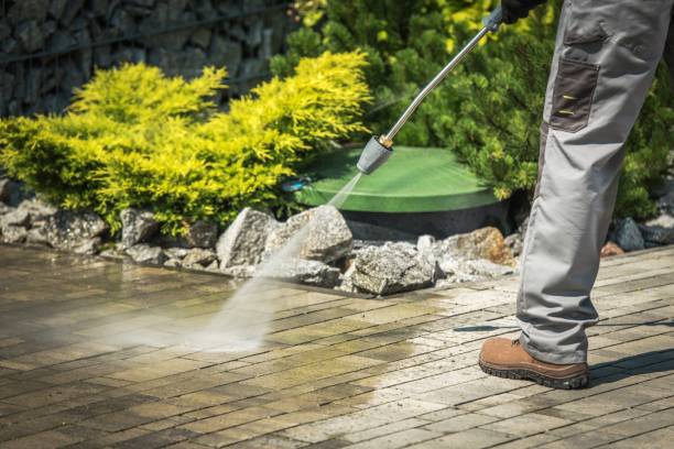 Best Spring Cleaning  in Sunnyside, CA