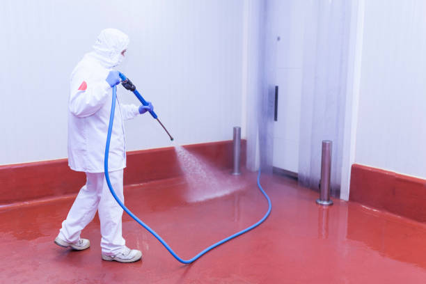 Best House Exterior Washing  in Sunnyside, CA